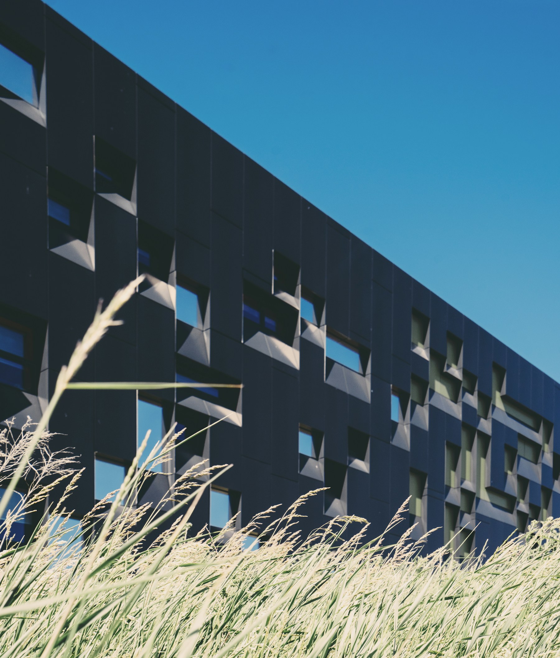 A low-rise contemporary building with a planted foreground